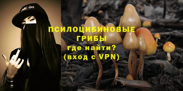 кристаллы Алзамай