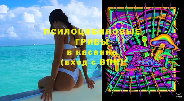 крисы Алексеевка
