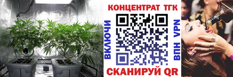 купить Карачев ТГК вейп