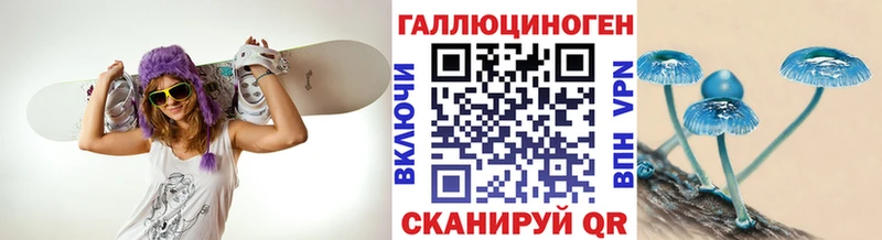 где найти   Карачев  Галлюциногенные грибы MAGIC MUSHROOMS 
